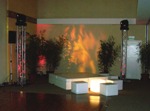 TEVA 2006